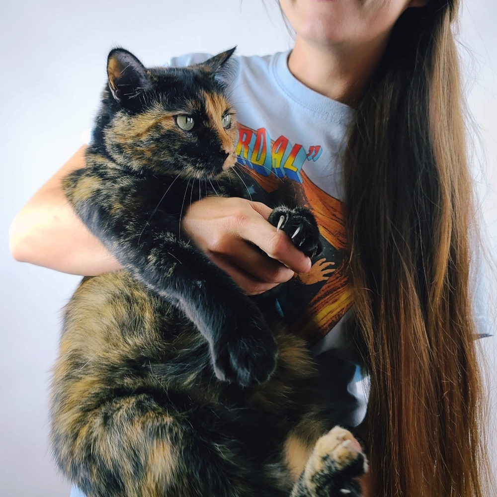 Meet your Posher, Stephanie